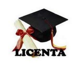 logo Licenta