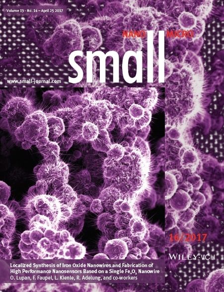 SMALL - Inovații marca UTM – pe coperta revistei germane SMALL Nano-Micro