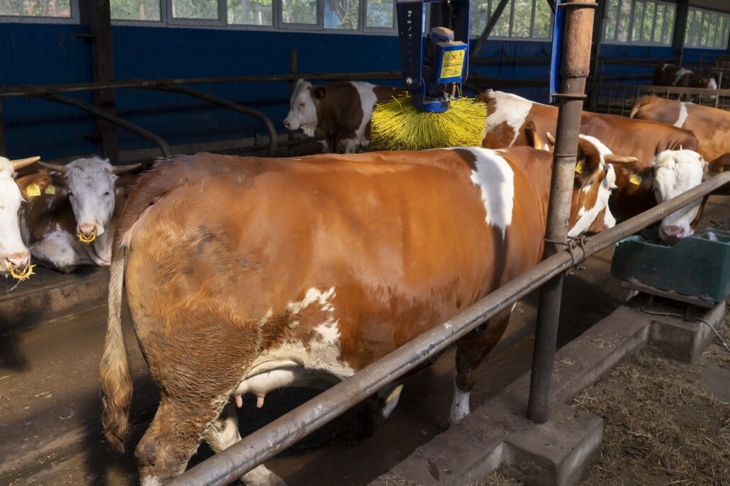 280 - UTM are propria fermă didactică
