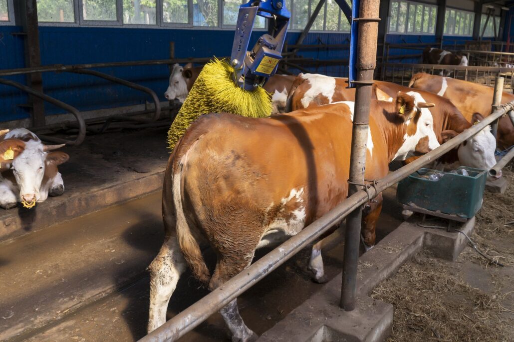 281 - UTM are propria fermă didactică