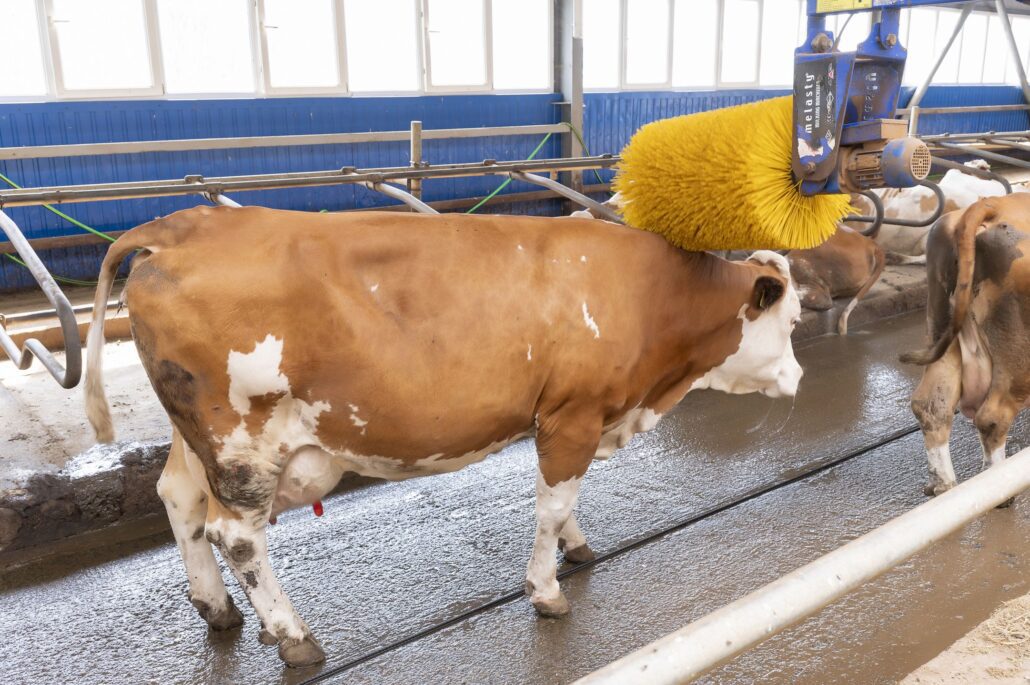 302 - UTM are propria fermă didactică