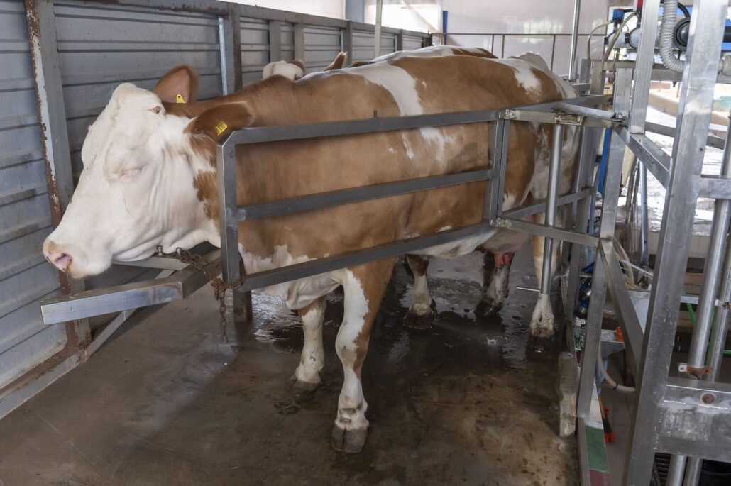 312 - UTM are propria fermă didactică