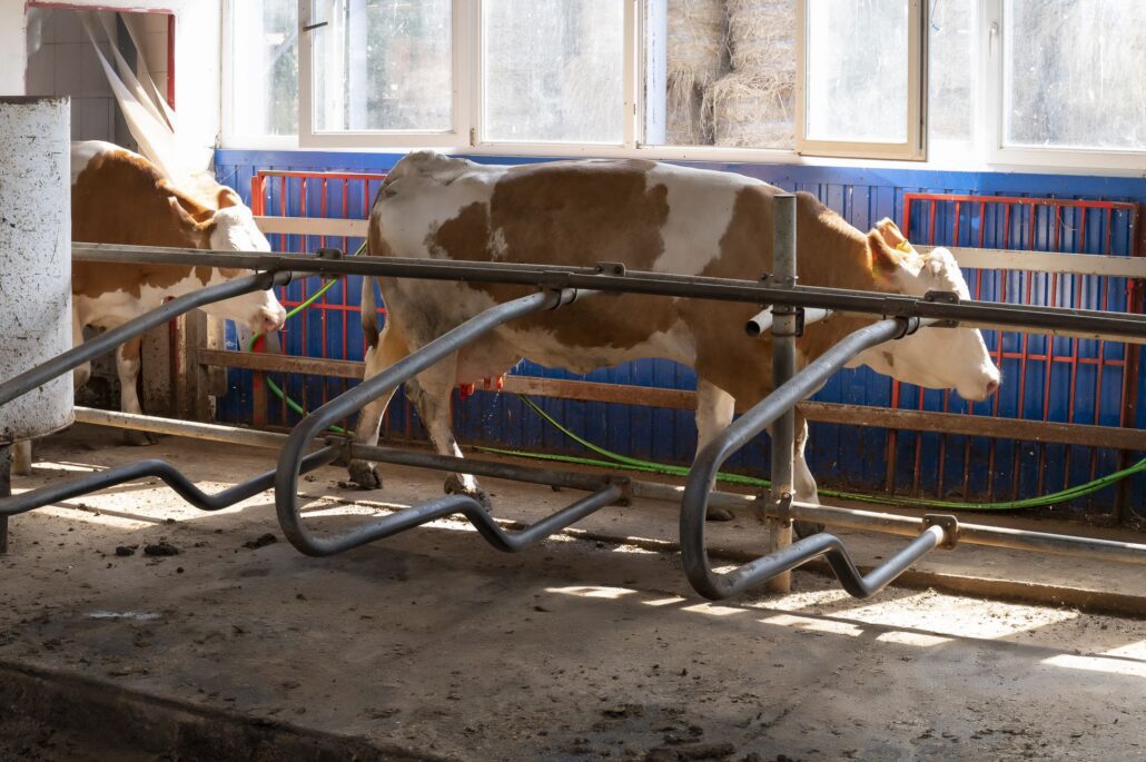 339 - UTM are propria fermă didactică
