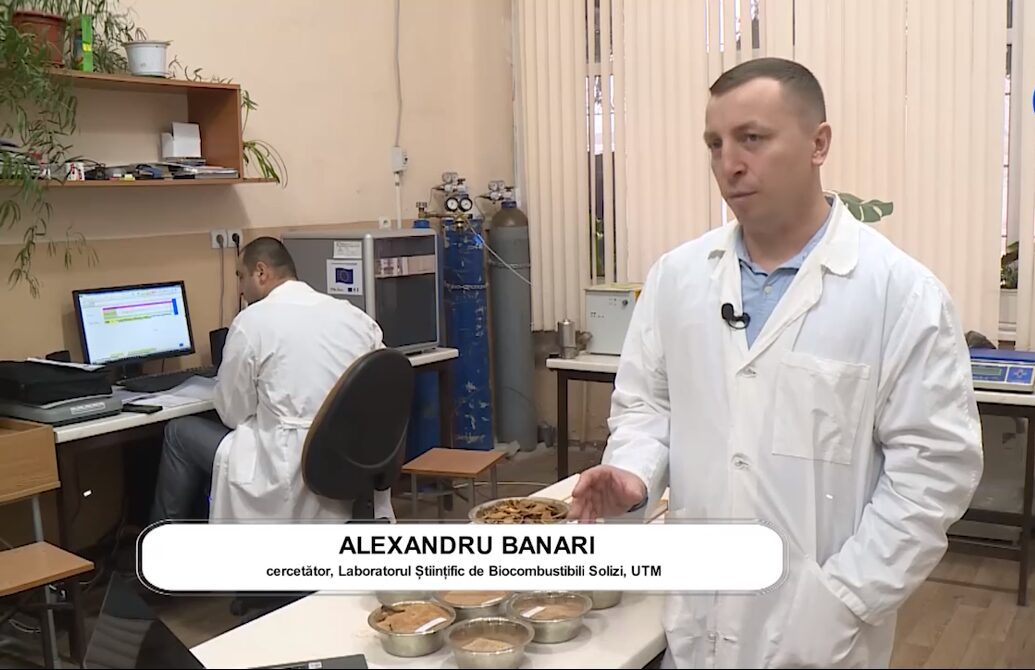 1 blanari - Biocombustibilii solizi: o soluție sustenabilă pentru securitatea energetică a țării